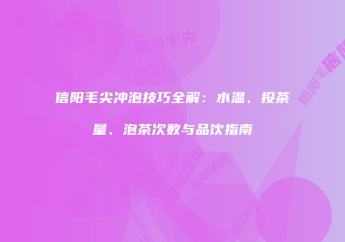 信阳毛尖冲泡技巧全解：水温、投茶量、泡茶次数与品饮指南