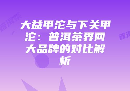大益甲沱与下关甲沱：普洱茶界两大品牌的对比解析