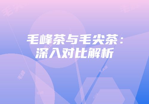 毛峰茶与毛尖茶：深入对比解析