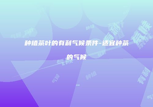 种植茶叶的有利气候条件-适宜种茶的气候