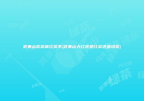 武夷山岩茶属红茶不(武夷山大红袍是红茶还是绿茶)
