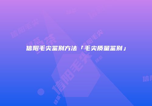 信阳毛尖鉴别方法「毛尖质量鉴别」