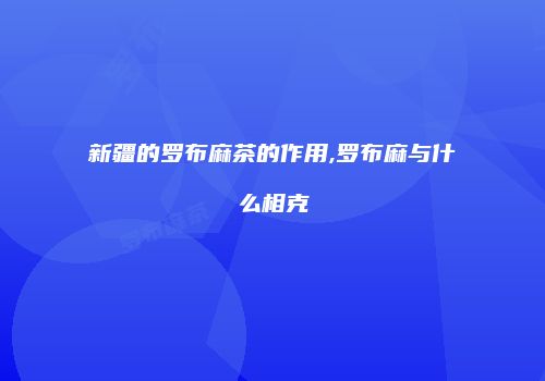 新疆的罗布麻茶的作用,罗布麻与什么相克