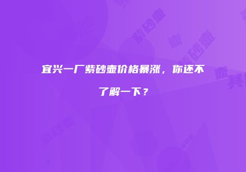 宜兴一厂紫砂壶价格暴涨，你还不了解一下？