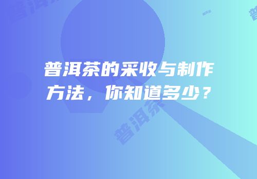 普洱茶的采收与制作方法，你知道多少？