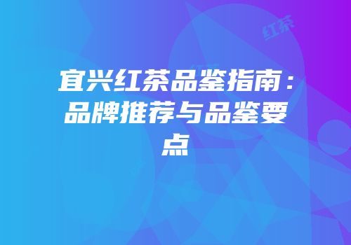 宜兴红茶品鉴指南：品牌推荐与品鉴要点