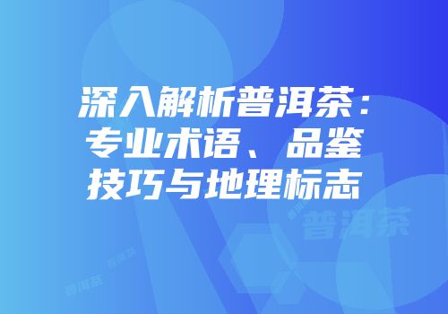 深入解析普洱茶：专业术语、品鉴技巧与地理标志