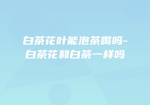 白茶花叶能泡茶喝吗-白茶花和白茶一样吗