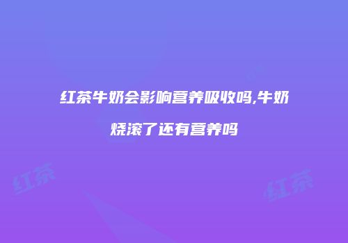红茶牛奶会影响营养吸收吗,牛奶烧滚了还有营养吗