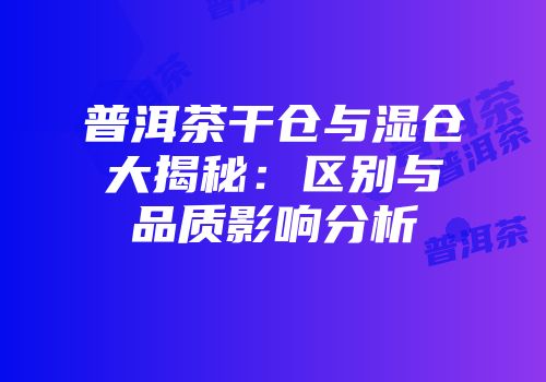 普洱茶干仓与湿仓大揭秘：区别与品质影响分析