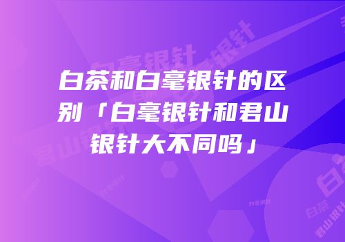 白茶和白毫银针的区别「白毫银针和君山银针大不同吗」
