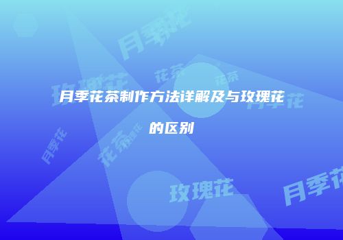 月季花茶制作方法详解及与玫瑰花的区别