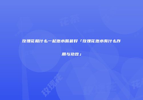 玫瑰花和什么一起泡水喝最好「玫瑰花泡水有什么作用与功效」