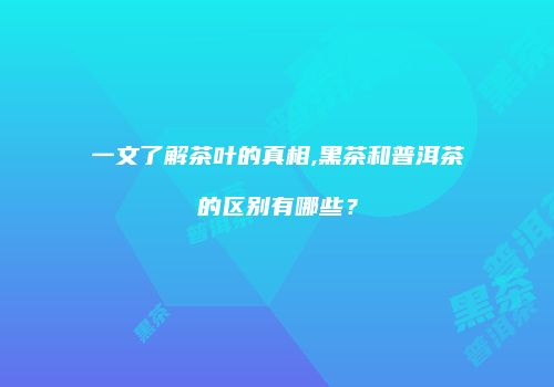 一文了解茶叶的真相,黑茶和普洱茶的区别有哪些？