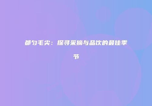 都匀毛尖：探寻采摘与品饮的最佳季节