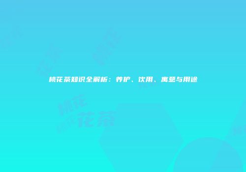 桃花茶知识全解析：养护、饮用、寓意与用途
