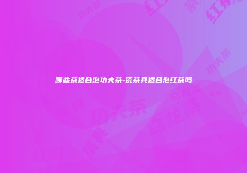 哪些茶适合泡功夫茶-瓷茶具适合泡红茶吗