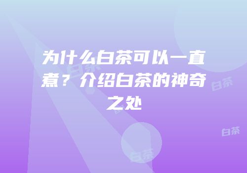 为什么白茶可以一直煮？介绍白茶的神奇之处