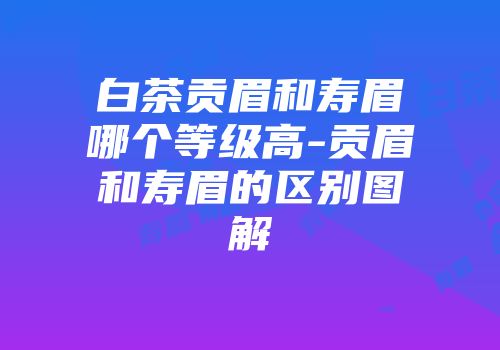 白茶贡眉和寿眉哪个等级高-贡眉和寿眉的区别图解