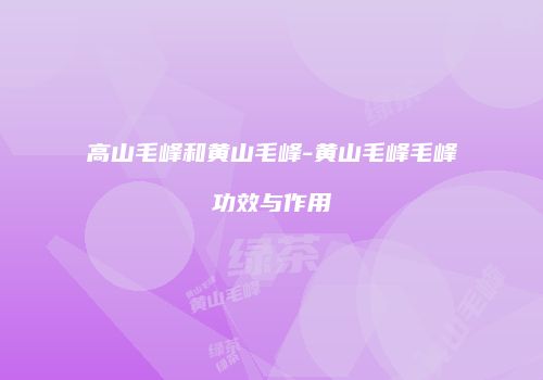 高山毛峰和黄山毛峰-黄山毛峰毛峰功效与作用