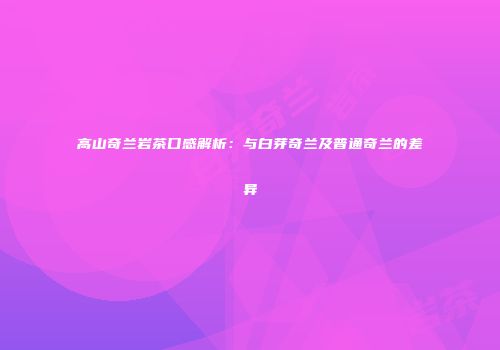高山奇兰岩茶口感解析：与白芽奇兰及普通奇兰的差异