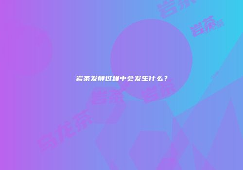 岩茶发酵过程中会发生什么？