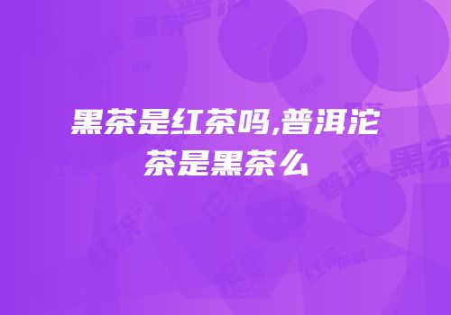 黑茶是红茶吗,普洱沱茶是黑茶么