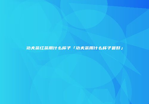 功夫茶红茶用什么杯子「功夫茶用什么杯子最好」