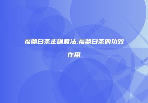 福鼎白茶正确煮法,福鼎白茶的功效作用