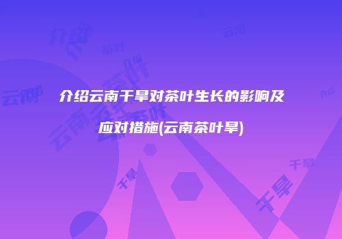 介绍云南干旱对茶叶生长的影响及应对措施(云南茶叶旱)