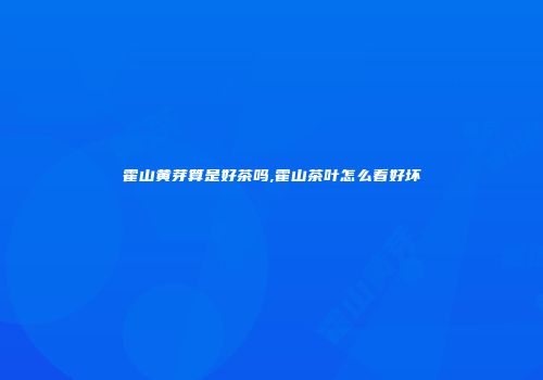 霍山黄芽算是好茶吗,霍山茶叶怎么看好坏
