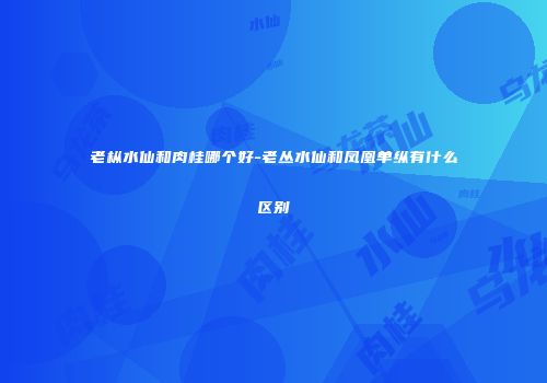 老枞水仙和肉桂哪个好-老丛水仙和凤凰单纵有什么区别