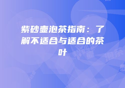 紫砂壶泡茶指南：了解不适合与适合的茶叶