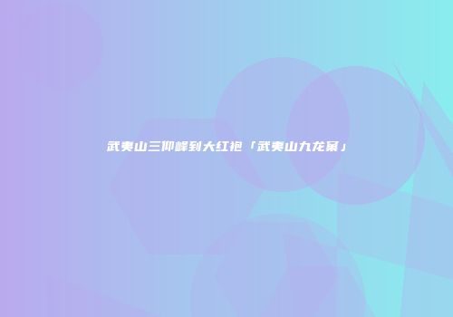 武夷山三仰峰到大红袍「武夷山九龙窠」