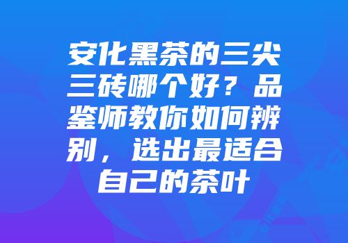 安化黑茶的三尖三砖哪个好？品鉴师教你如何辨别，选出最适合自己的茶叶