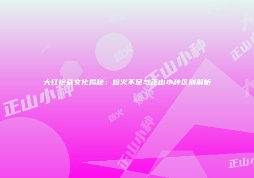 大红袍茶文化揭秘：焙火不足与正山小种区别解析