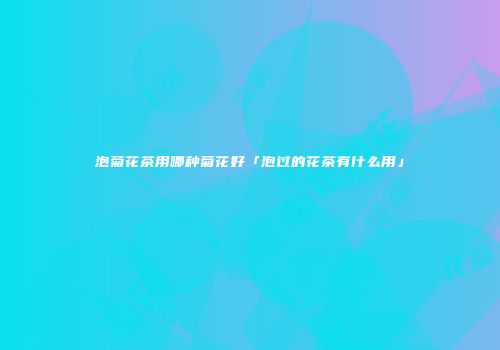 泡菊花茶用哪种菊花好「泡过的花茶有什么用」