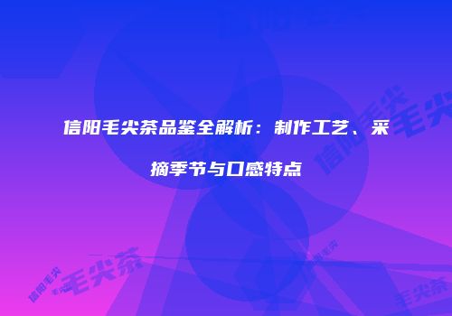 信阳毛尖茶品鉴全解析：制作工艺、采摘季节与口感特点