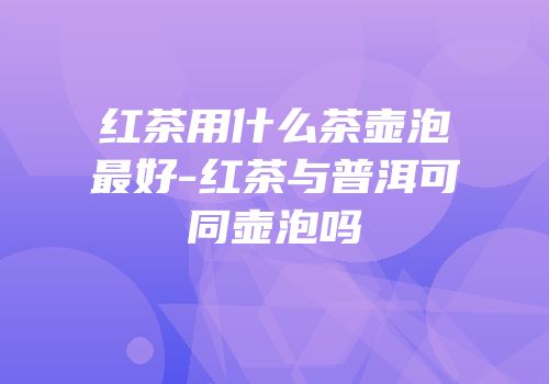 红茶用什么茶壶泡最好-红茶与普洱可同壶泡吗