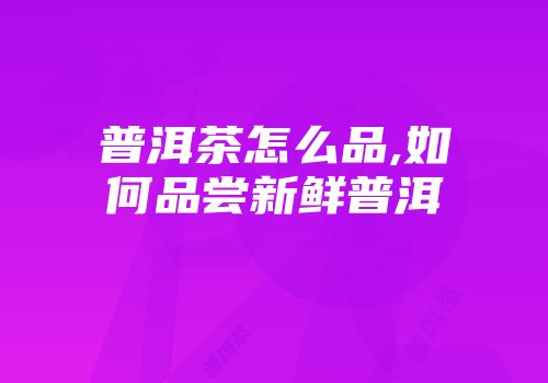 普洱茶怎么品,如何品尝新鲜普洱