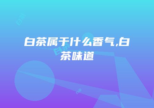 白茶属于什么香气,白茶味道