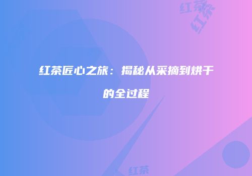 红茶匠心之旅：揭秘从采摘到烘干的全过程