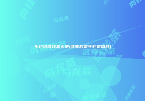牛栏坑肉桂怎么泡(武夷岩茶牛栏坑肉桂)