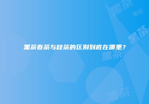 黑茶春茶与秋茶的区别到底在哪里？