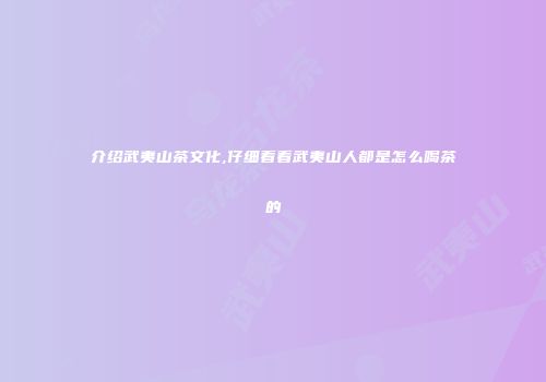 介绍武夷山茶文化,仔细看看武夷山人都是怎么喝茶的