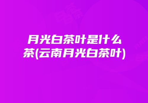 月光白茶叶是什么茶(云南月光白茶叶)