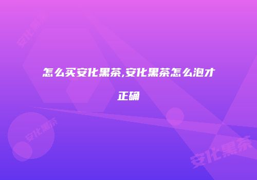 怎么买安化黑茶,安化黑茶怎么泡才正确