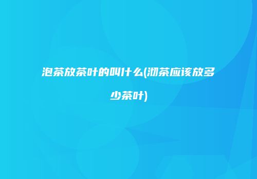 泡茶放茶叶的叫什么(沏茶应该放多少茶叶)