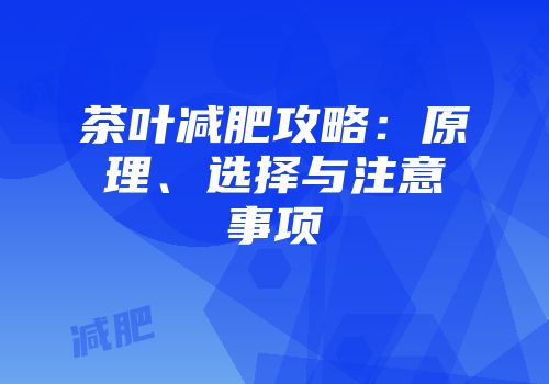 茶叶减肥攻略：原理、选择与注意事项