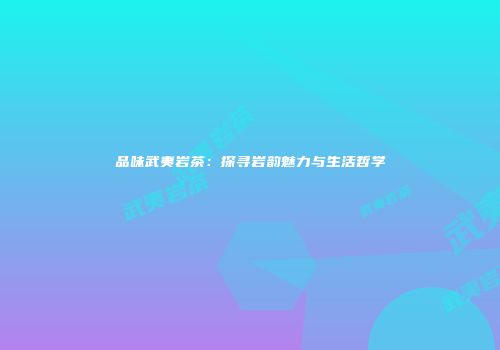 品味武夷岩茶：探寻岩韵魅力与生活哲学